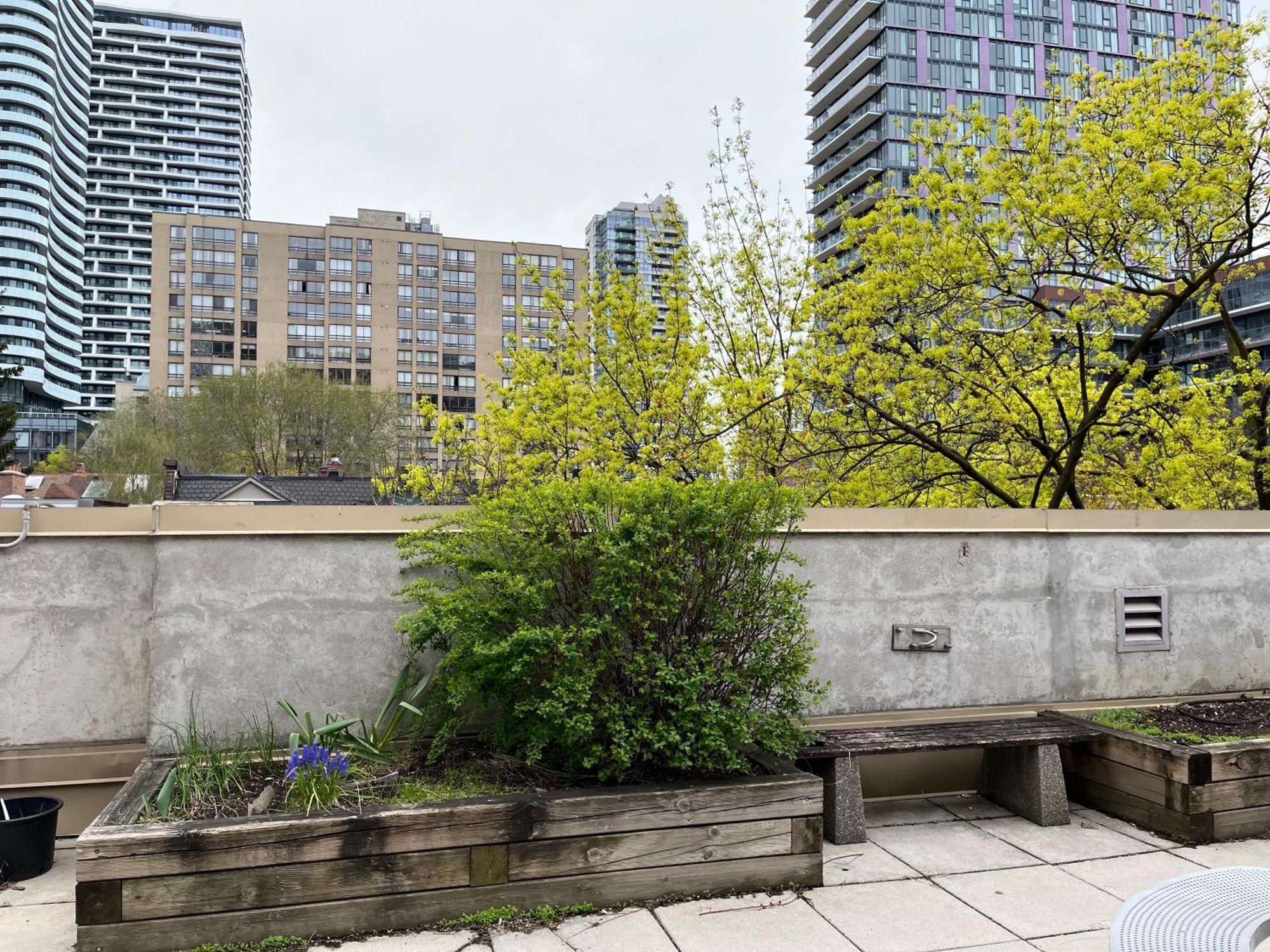 Neill Wycik Hotel Toronto Ngoại thất bức ảnh